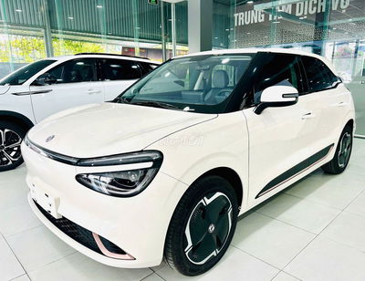 Xe điện BOX cạnh tranh với VF6,chỉ 68tr nhận xe