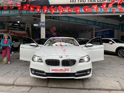 Xe BMW 5 Series 520i 2015