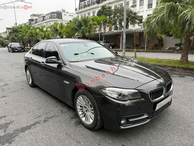 Xe BMW 5 Series 520i 2015