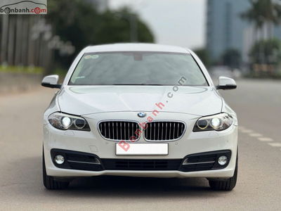 Xe BMW 5 Series 520i 2015