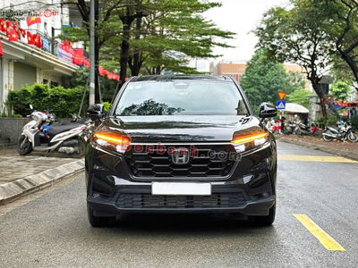 Xe Honda CRV L 2025