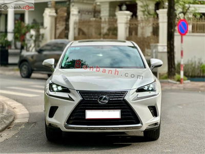 Xe Lexus NX 300 2019