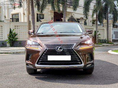 Xe Lexus NX 300 2019