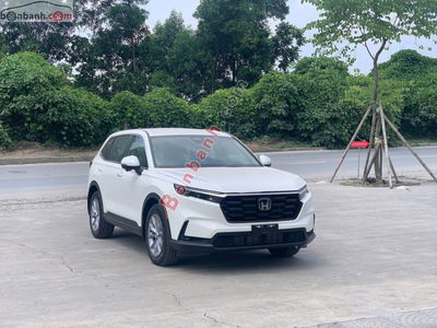 Xe Honda CRV L 2025