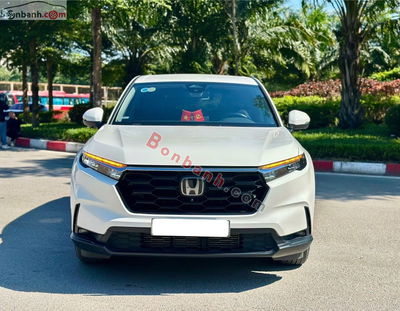 Xe Honda CRV L 2023