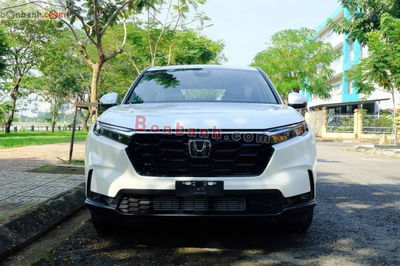 Xe Honda CRV L 2025