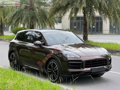 Xe Porsche Cayenne 3.0 V6 2019