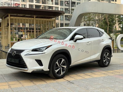 Xe Lexus NX 300 2019