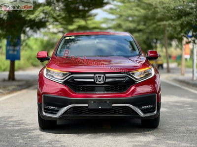 Xe Honda CRV L 2023
