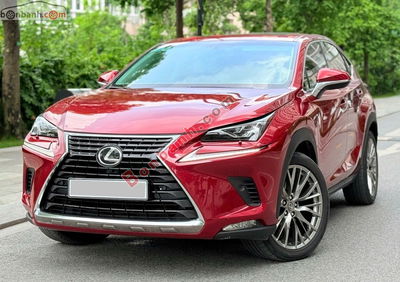 Xe Lexus NX 300 2017