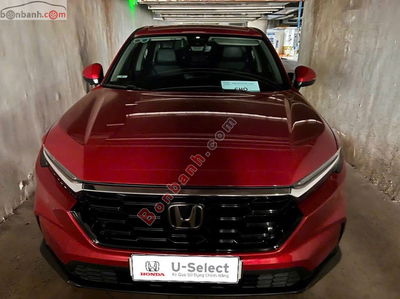 Xe Honda CRV L 2024