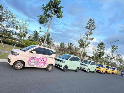 Wuling Ô tô điện Hồng