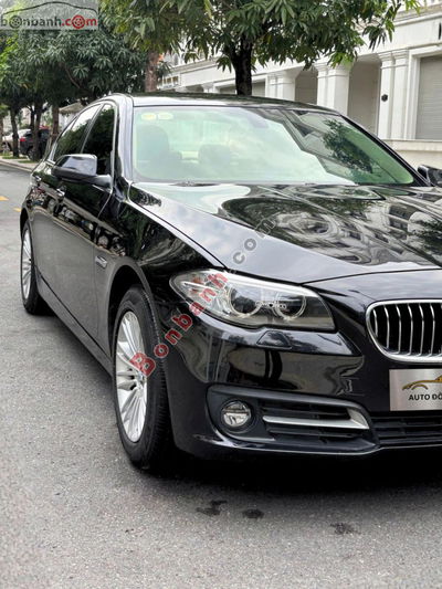 Xe BMW 5 Series 520i 2014