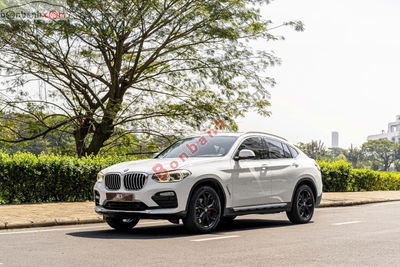Xe BMW X4 xDrive20i 2018
