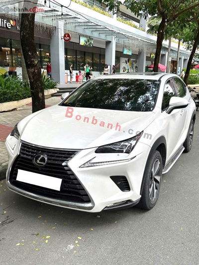 Xe Lexus NX 300 2017