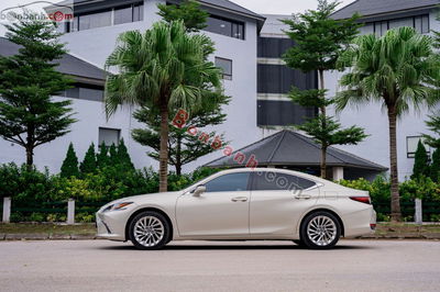 Xe Lexus ES 250 2020