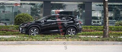 Xe Lexus NX 300 2019