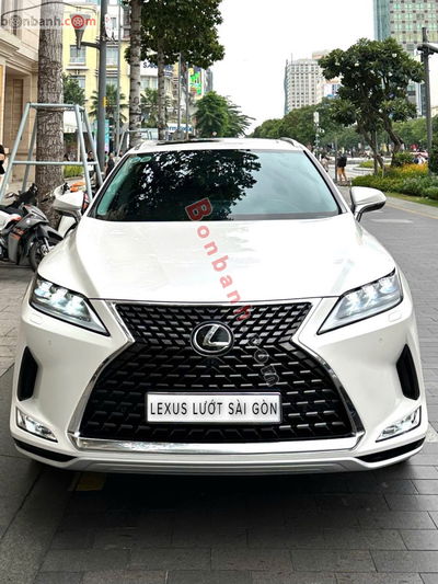 Xe Lexus RX 300 2020