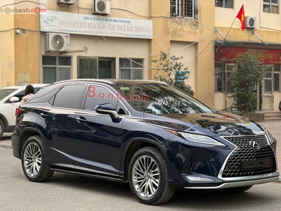 Xe Lexus RX 300 2020