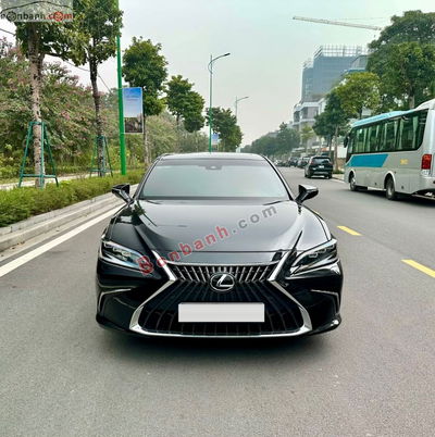 Xe Lexus ES 250 2022