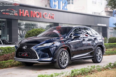 Xe Lexus RX 300 2020