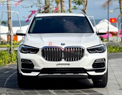 Xe BMW X5 xDrive40i xLine 2020