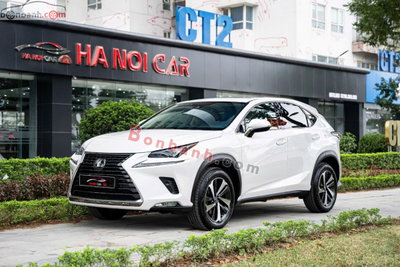 Xe Lexus NX 300 2021