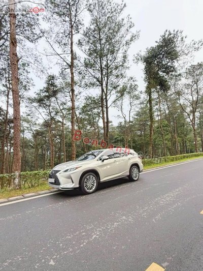 Xe Lexus RX 350L 2022