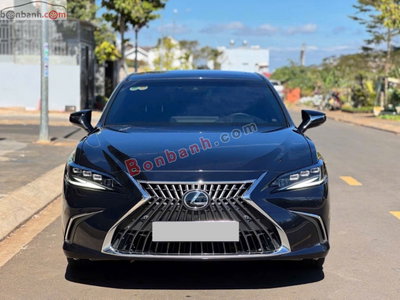 Xe Lexus ES 250 2025