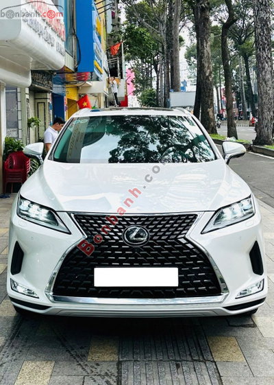 Xe Lexus RX 350 2019