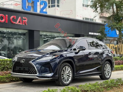 Xe Lexus RX 300 2020