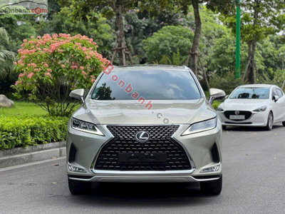Xe Lexus RX 300 2021