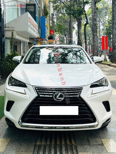 Xe Lexus NX 300 2017