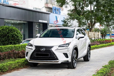 Xe Lexus NX 300 2021