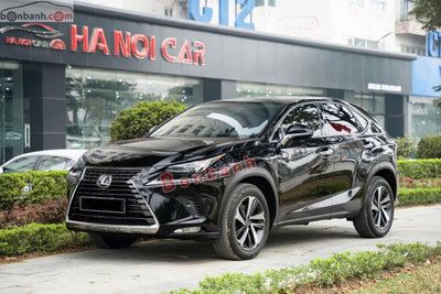 Xe Lexus NX 300 2019
