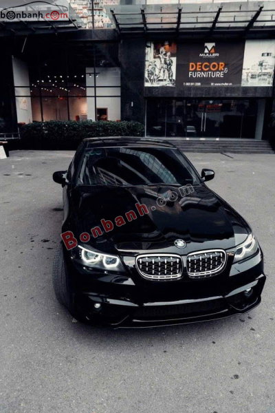 Xe BMW 3 Series 320i 2010