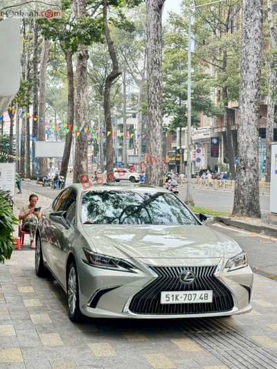 Xe Lexus ES 250 2019