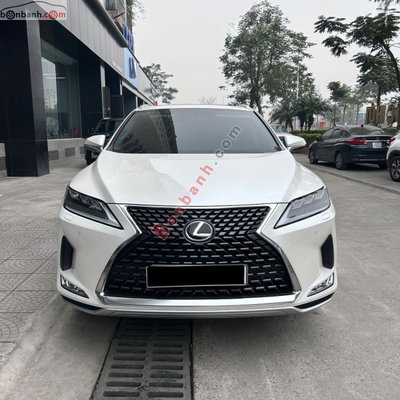 Xe Lexus RX 300 2022