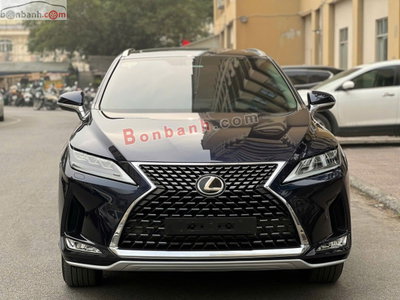 Xe Lexus RX 300 2020