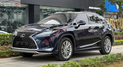 Xe Lexus RX 300 2020