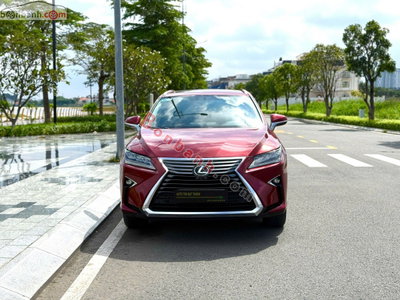 Xe Lexus RX 350 2019