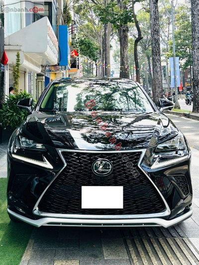 Xe Lexus NX 300 2020