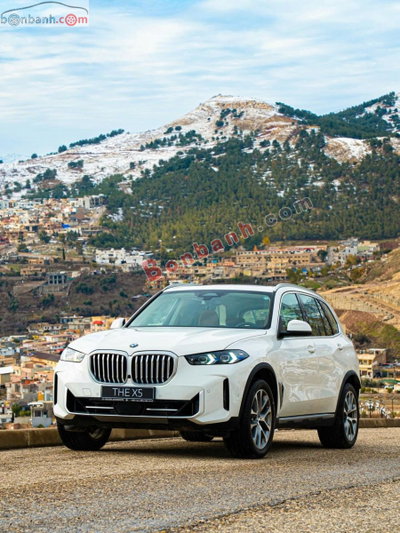 Xe BMW X5 xDrive40i xLine 2024