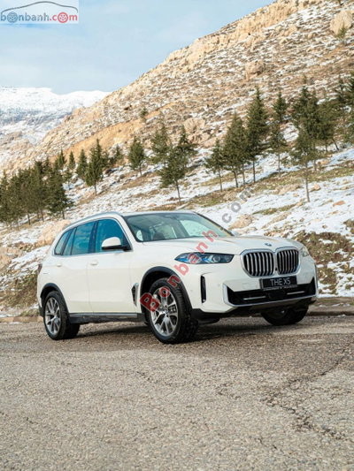 Xe BMW X5 xDrive40i xLine 2025