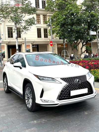 Xe Lexus RX 300 2020