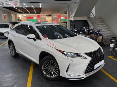 Xe Lexus RX 2022