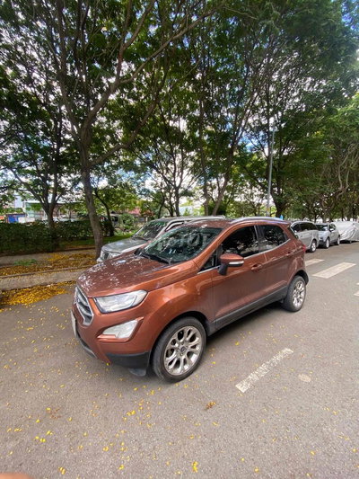 Ford EcoSport 2018 1.5 Titanium Nâu