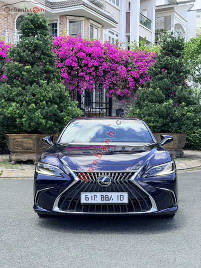 Xe Lexus ES 250 2021