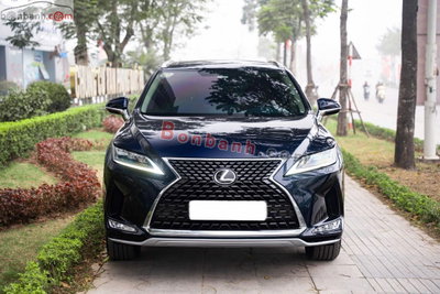 Xe Lexus RX 300 2020