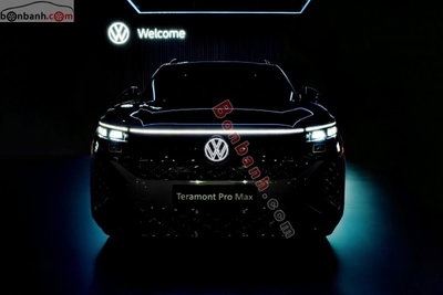 Xe Volkswagen Teramont Pro Max 2.0 AT 2025